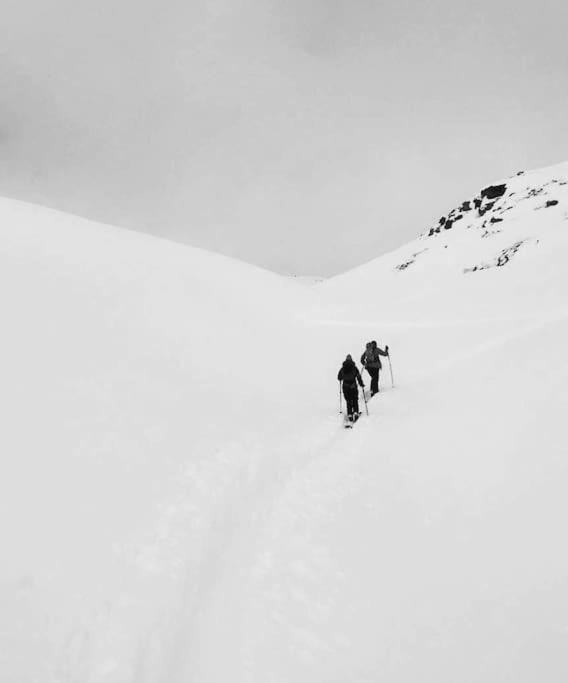 Fjellstova Storehorn Apartments Ulsak Zewnętrze zdjęcie